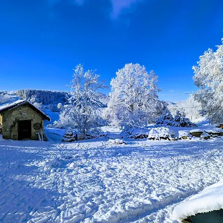 La Fuly D'en Tatil Evi